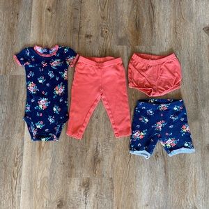 Carter’s Baby Girl Lot (4 pieces) 9-12m